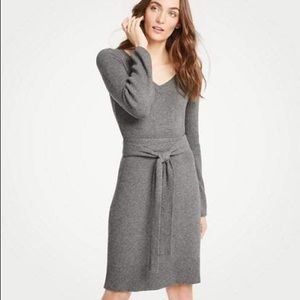 Ann Taylor Tie waist, V-neck sweater dress